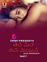 Tere Mere Beech Mein Season 1 Part 1